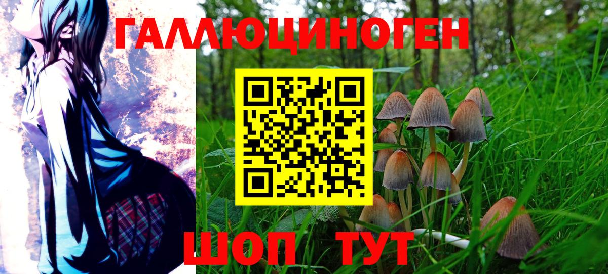Нарьян-Мар  где найти   Вход с VPN  Галлюциногенные грибы Cubensis 
