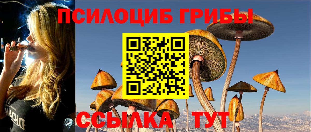 Галлюциногенные грибы мухоморы Нарьян-Мар